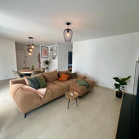 Stilvolles, Modernes Mit Sonnen-balkon
